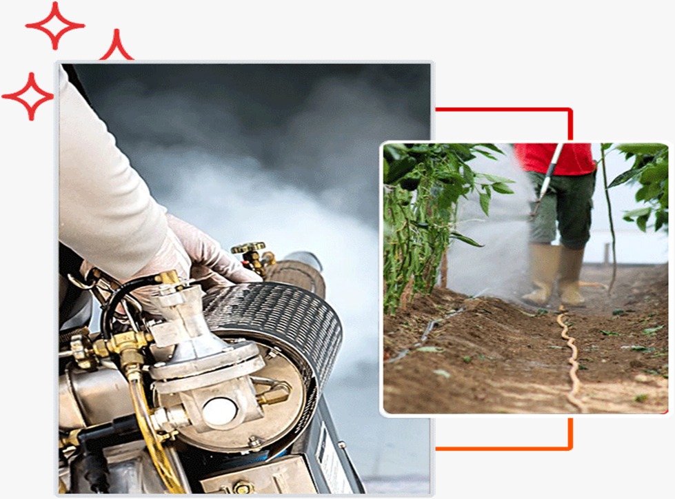 Professional Fumigation Services in Karachi by Experts